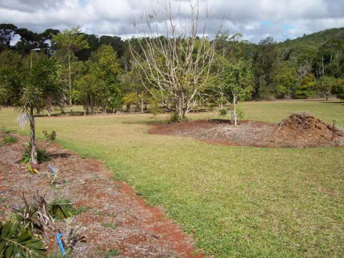 Lake Eacham