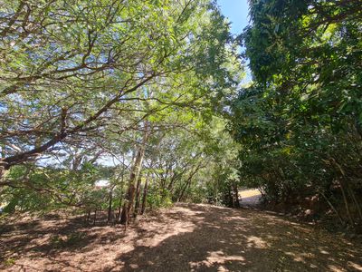 18 Flinders Street, Cooktown