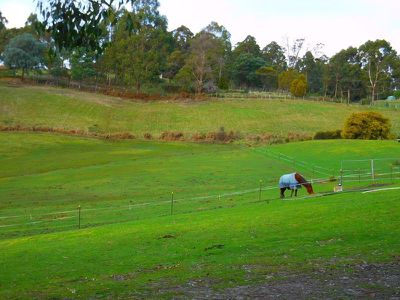 50 Duggans Road, Cradoc