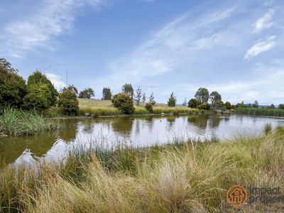 11 Trephina Street, Harrison