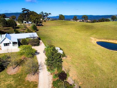 310 Curly Dick Road, Meadow Flat