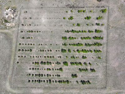 760 Wallaces Gap Road, Braidwood