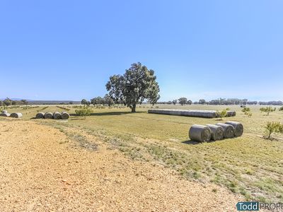 291 Killeens Lane, Heathcote