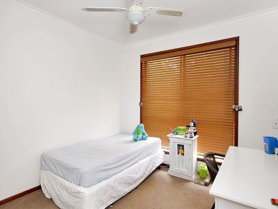 13 Elkhorn Drive, Tewantin