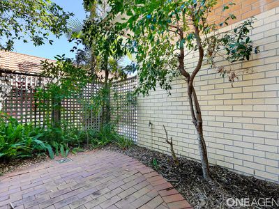163 / 17 Buccaneer Drive, Urangan