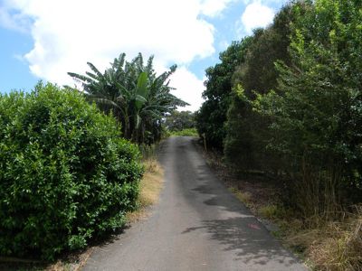 1119 Maleny Landsborough Road, Maleny