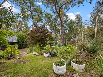 264 Ackland Hill Road, Coromandel East