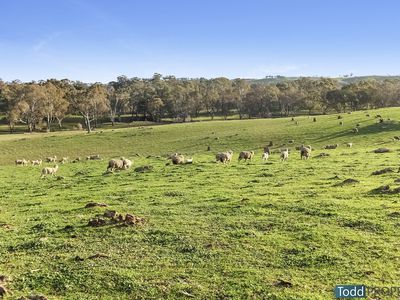 Watkins Lane, Heathcote