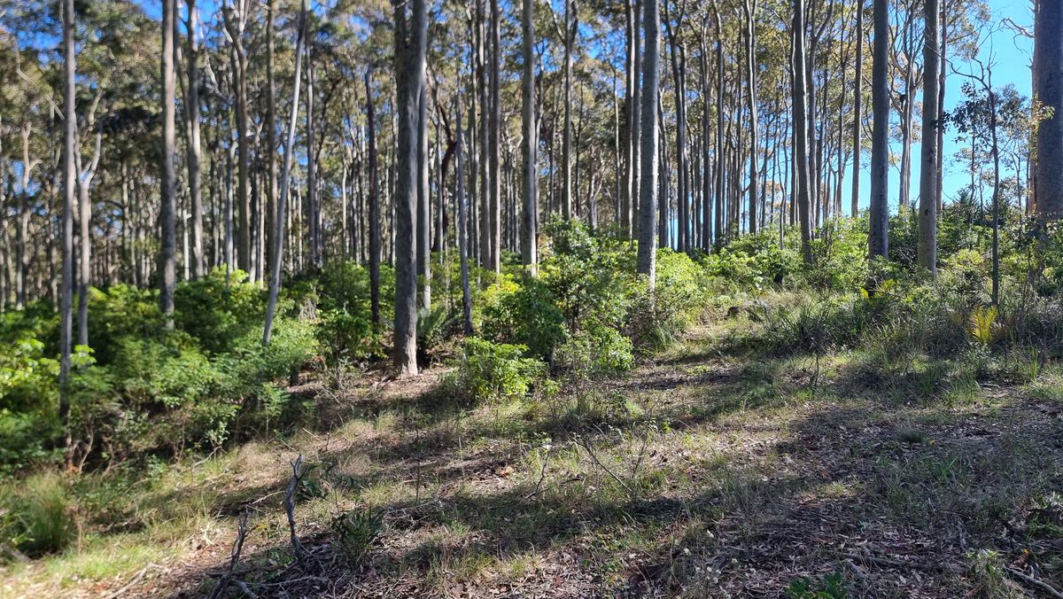 Lot 16, Mystery Bay Road, Mystery Bay