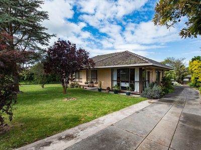 33 Main Street, Millicent