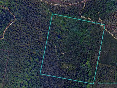 Lot 1, Link Road, Lonnavale