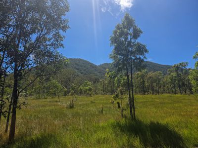 556 Mount Amos Road, Cooktown