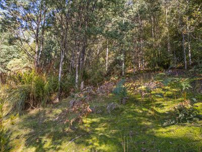 Lot 1, Smiths Road, Nicholls Rivulet