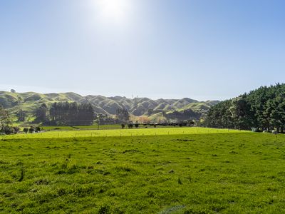 7 Maungakotukutuku Road, Paraparaumu