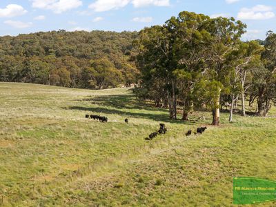 4616 Trunkey Road, Arkell