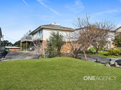 133 Waldegrave Crescent, Vincentia