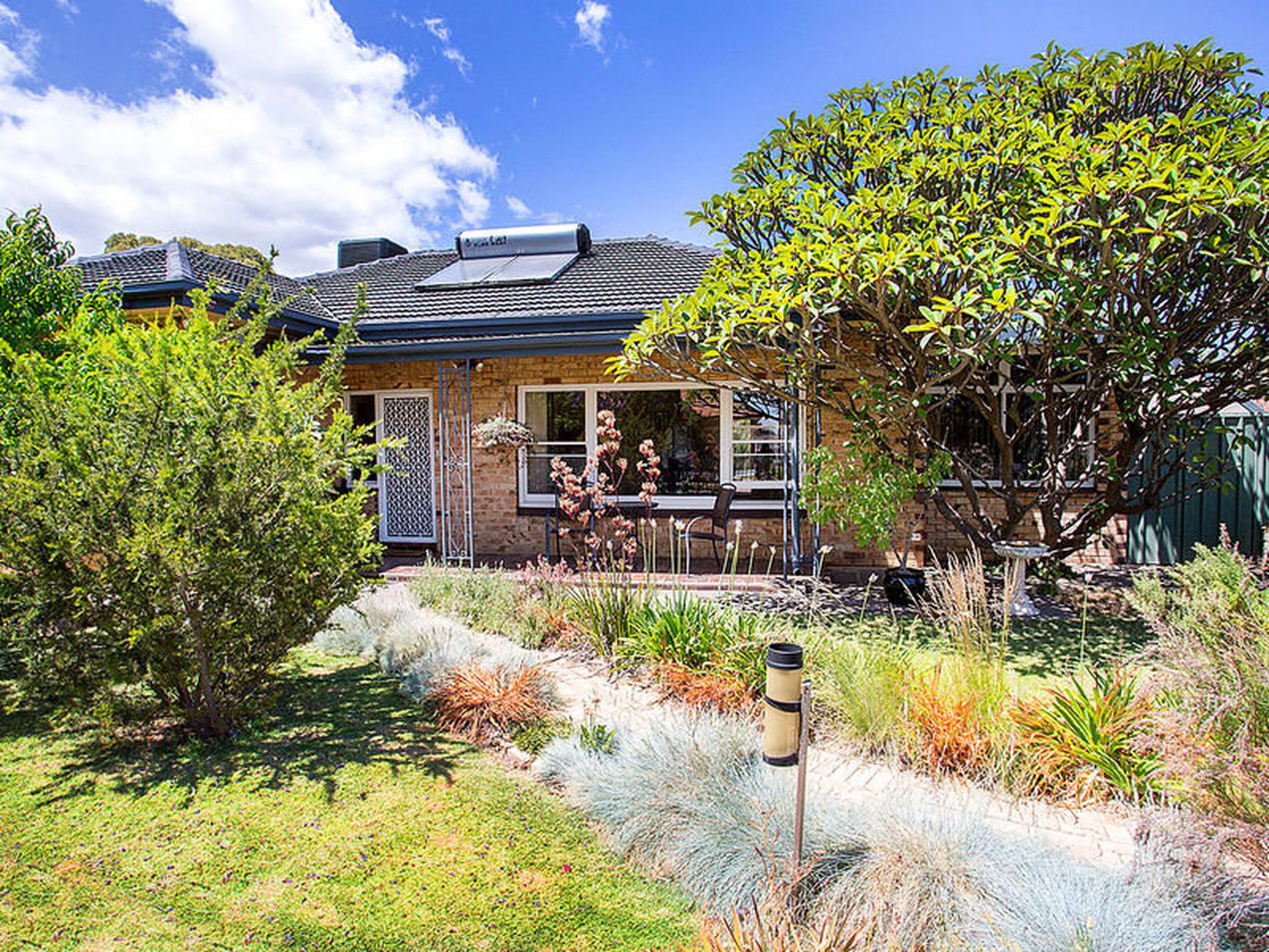 20 Bourlang Avenue, Camden Park