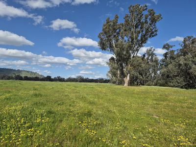 393 Mansfield Road, Euroa