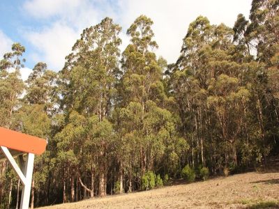 453 Woodbridge Hill Road, Gardners Bay