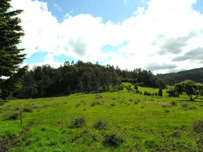 Lot 1 Fourfoot Road, Geeveston