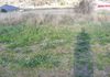 Molong