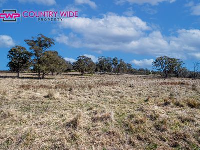 1929 New England Highway, Dundee