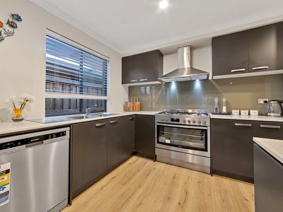 4 Elsey Way, Clyde North