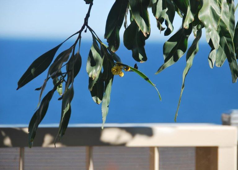 1B Fryer Street, Hallett Cove