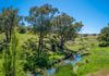 1097 Davys Plains Road, Cudal