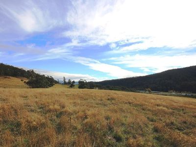 49 Acres Off Abbots Road, Nicholls Rivulet