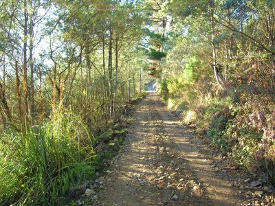 Old Road, Franklin