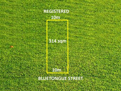 4 Bluetongue Street, Marsden Park