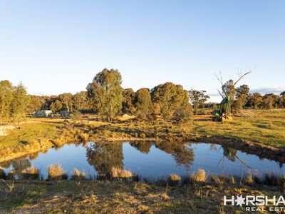 Lot 43 Sims Lane, Homebush