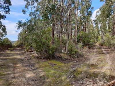 115591/3 Lightwood Road, Saltwater River