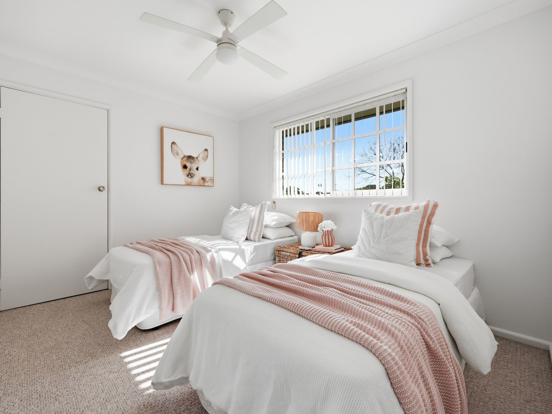 2 / 11 Mary Street, Shellharbour