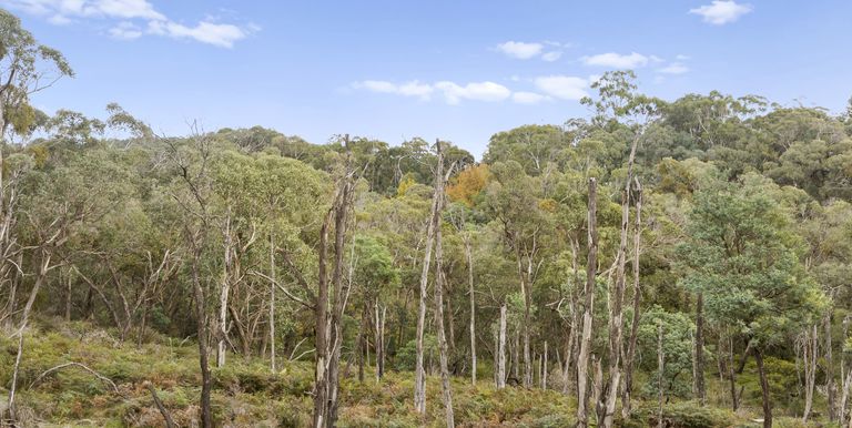 Lot 1 & 2 McCombes Road, Creek Junction