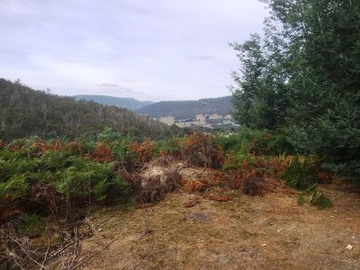 Lot 16 Waggs Gully Road, Ranelagh