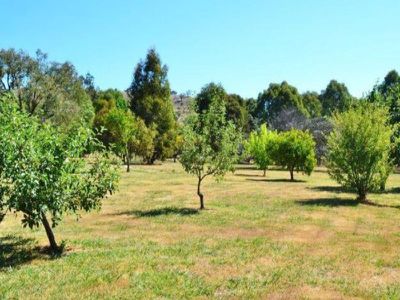 25 Monkey Gully Road, Mansfield