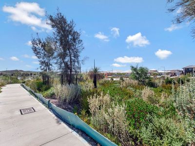 16 Shy Lane, Alkimos