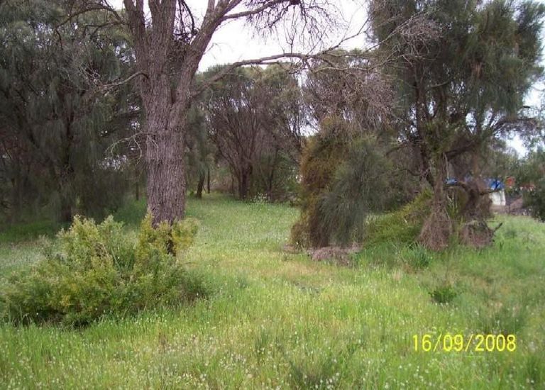 Lot 170, 9 Acacia Road, The Pines