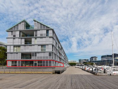 50 / 56A Pirrama Road, Pyrmont