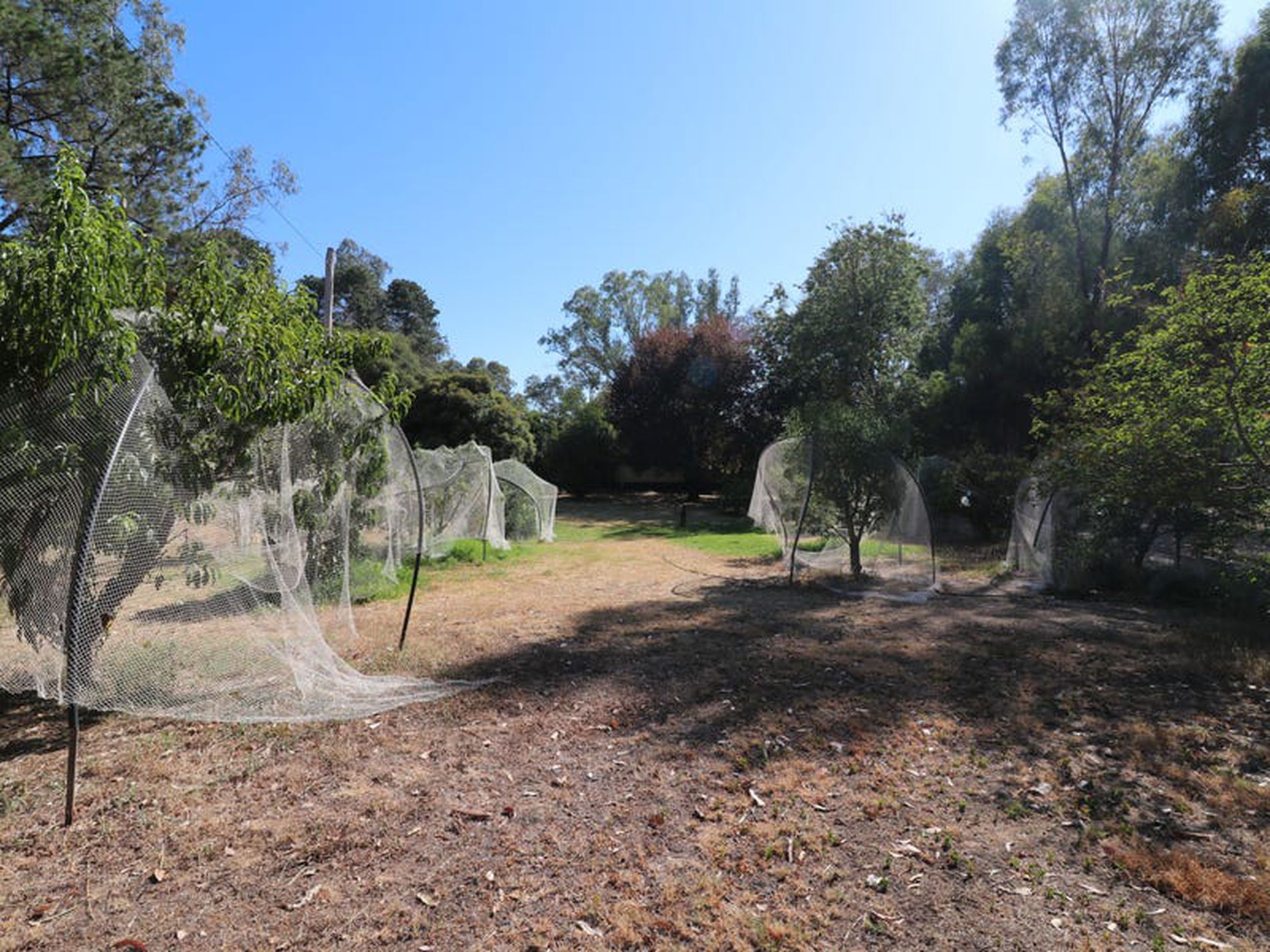 5 Edward St, Seymour