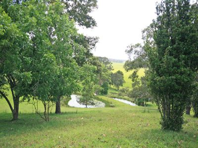 129 Warwick Park  Road, Pottsville