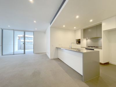 318 / 131 Ross Street, Forest Lodge