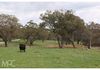 38 Offner Road, Orange