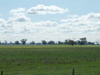 Carrolls Lane, Balldale