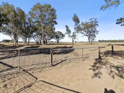 Lot 63, McCullochs Road, Tocumwal