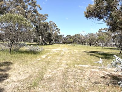 19 Penny Street, Kauring