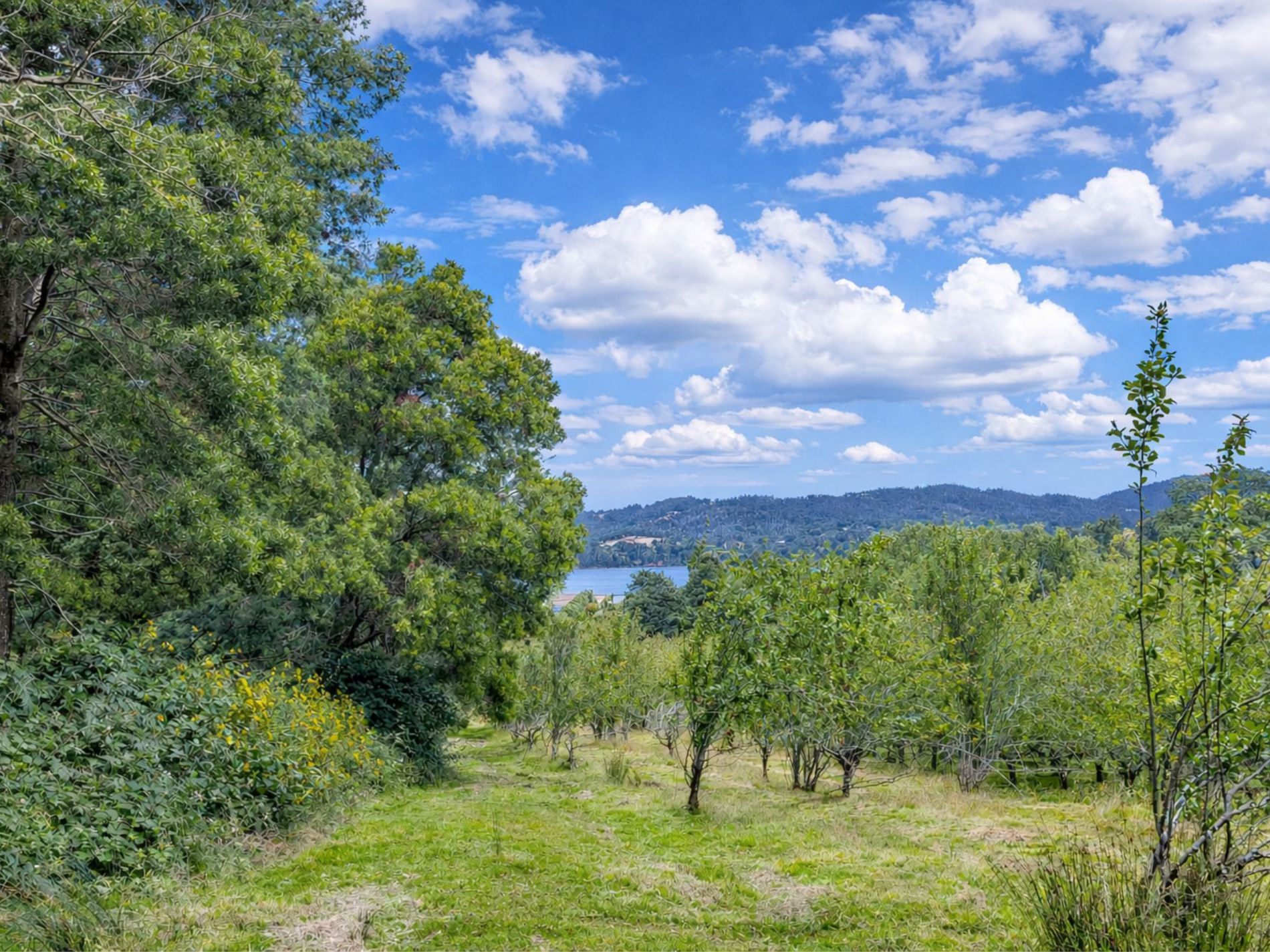 4030 Huon Highway, Castle Forbes Bay