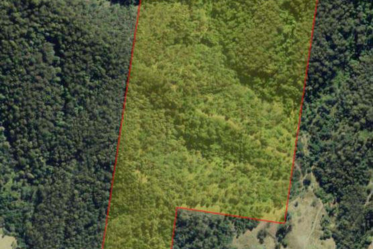 676 Little Run Road, Wherrol Flat